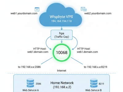 Wispbyte 免费容器VPS能跑 frp 吗？实测：一个端口照样玩转内网穿透！