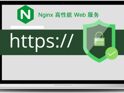 Nginx | 核心知识150讲，百万并发下性能优化之SSL证书签发与HTTPS加密传输实践笔记